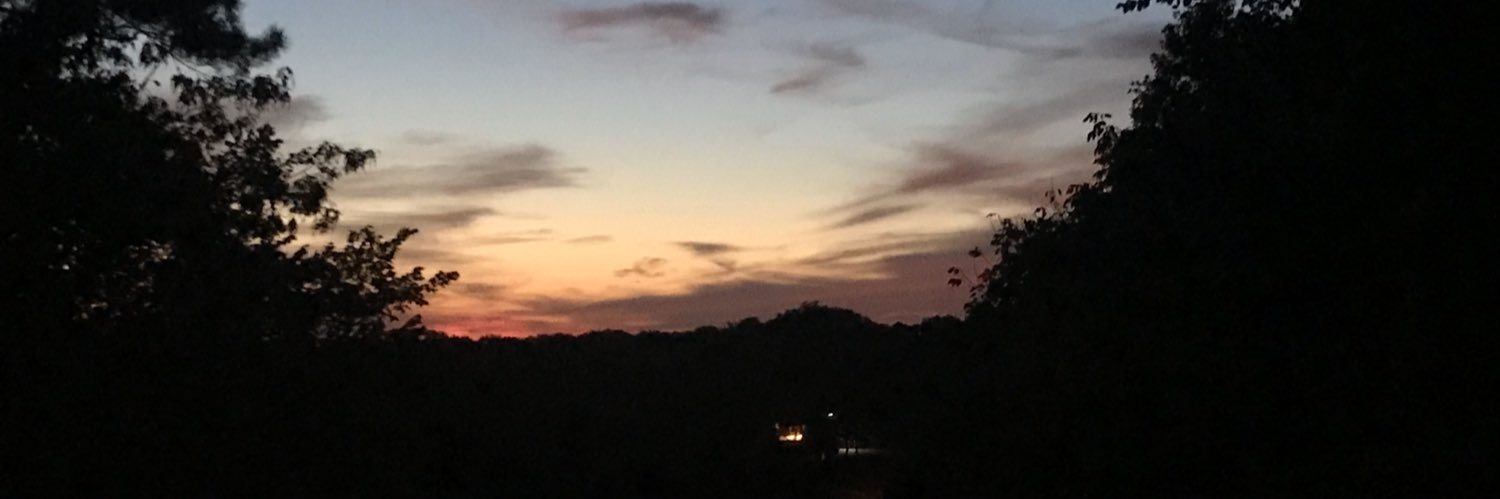 remyfitzgerald's profile banner image