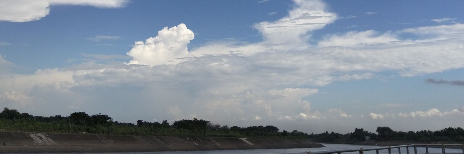 naarf banner