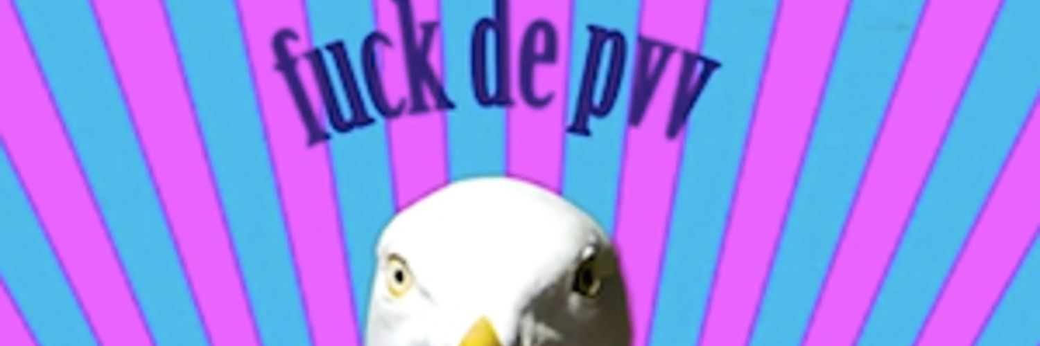 Reindert de Vos🍉🇪🇺's banner