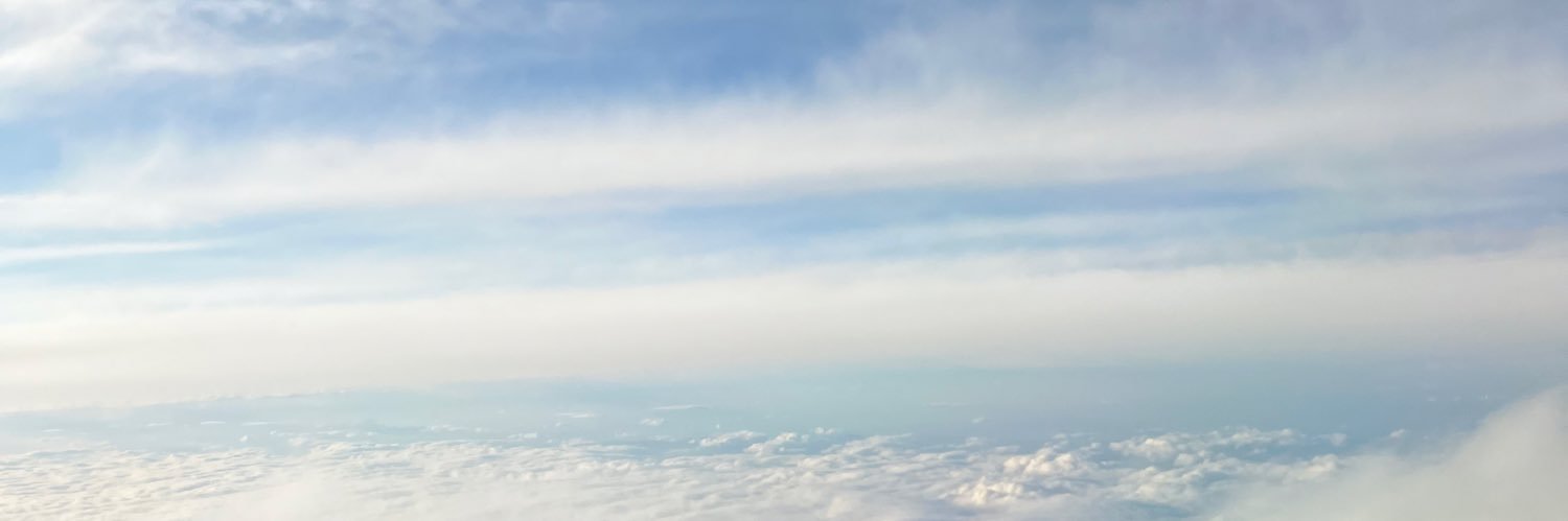 🐱 banner