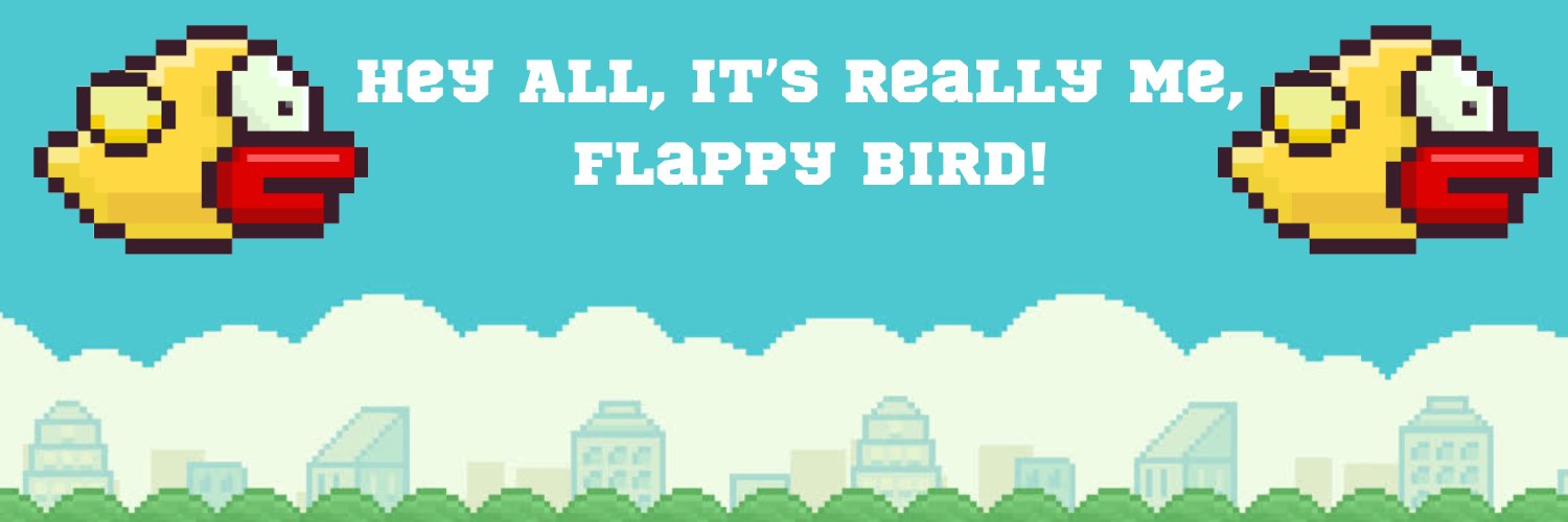 FlappyByrdBack's profile banner image