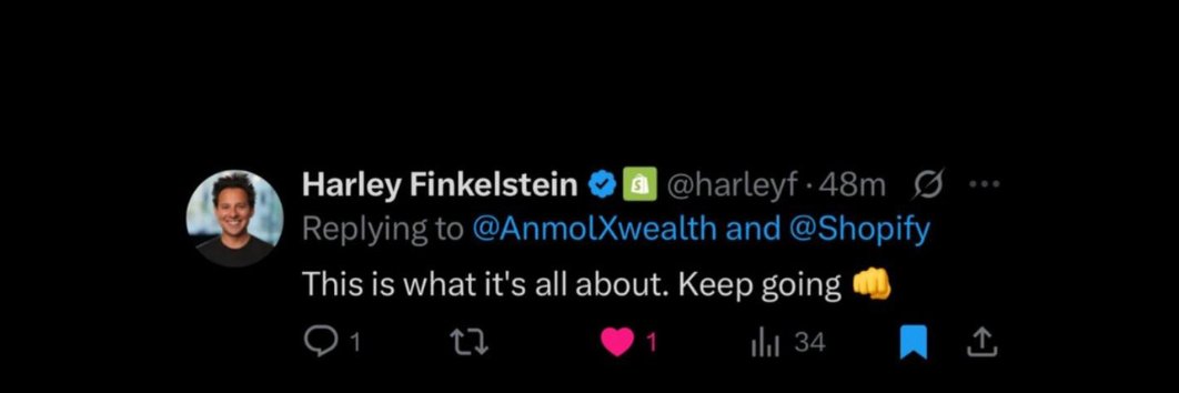 Anmol Bergstein banner