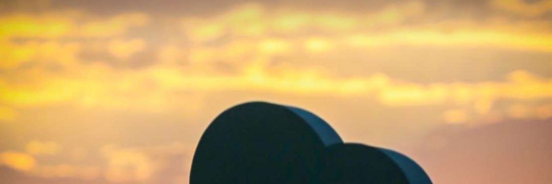20_wnh's profile banner image