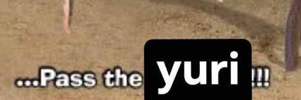 ro @polytrix's banner
