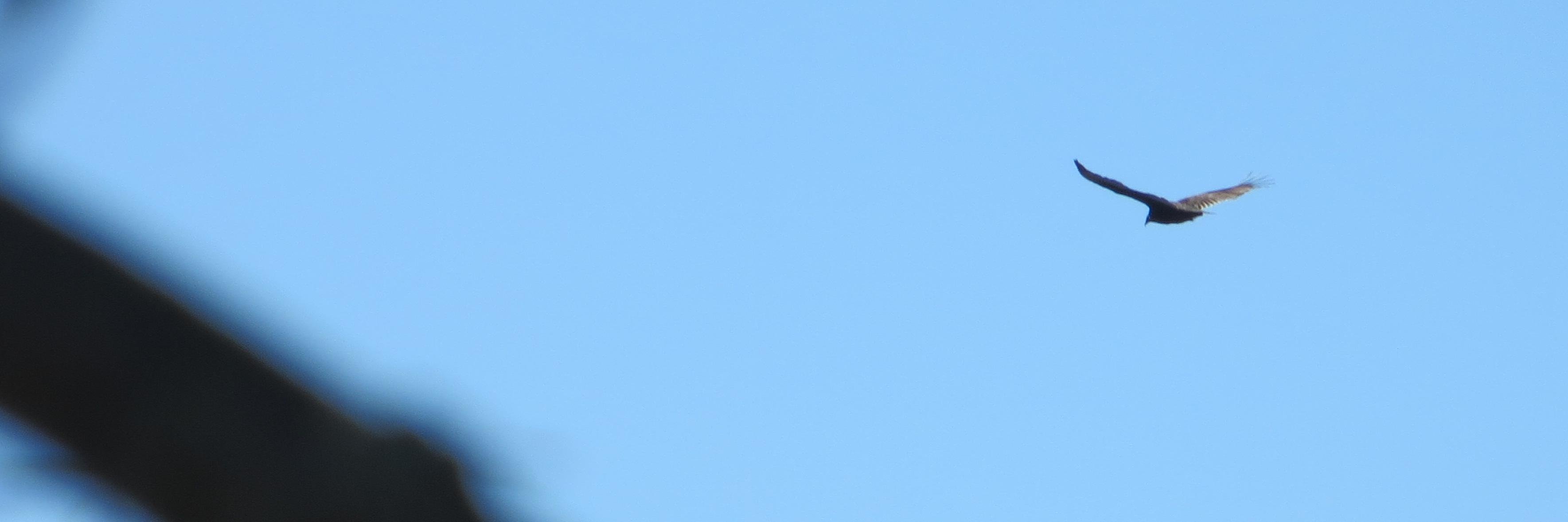 rowanhw's profile banner image