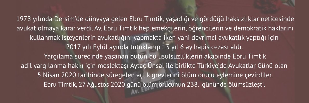 EbruTimtik's profile banner image
