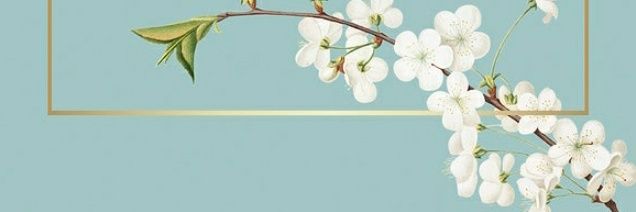 FayNas92's profile banner image