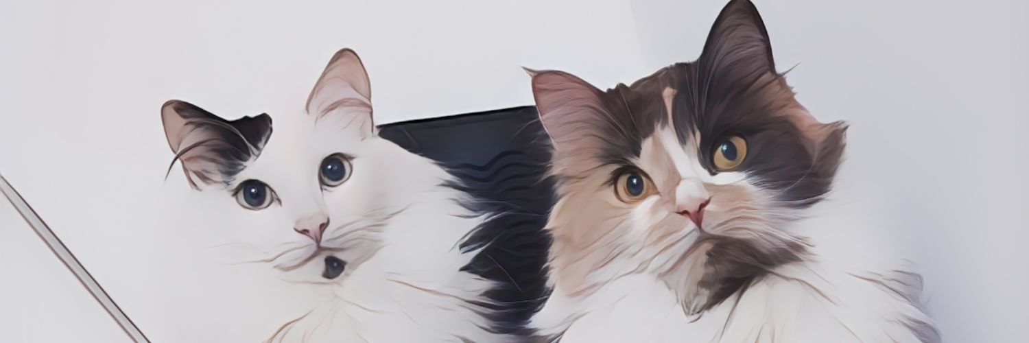 AlejaJ_'s profile banner image