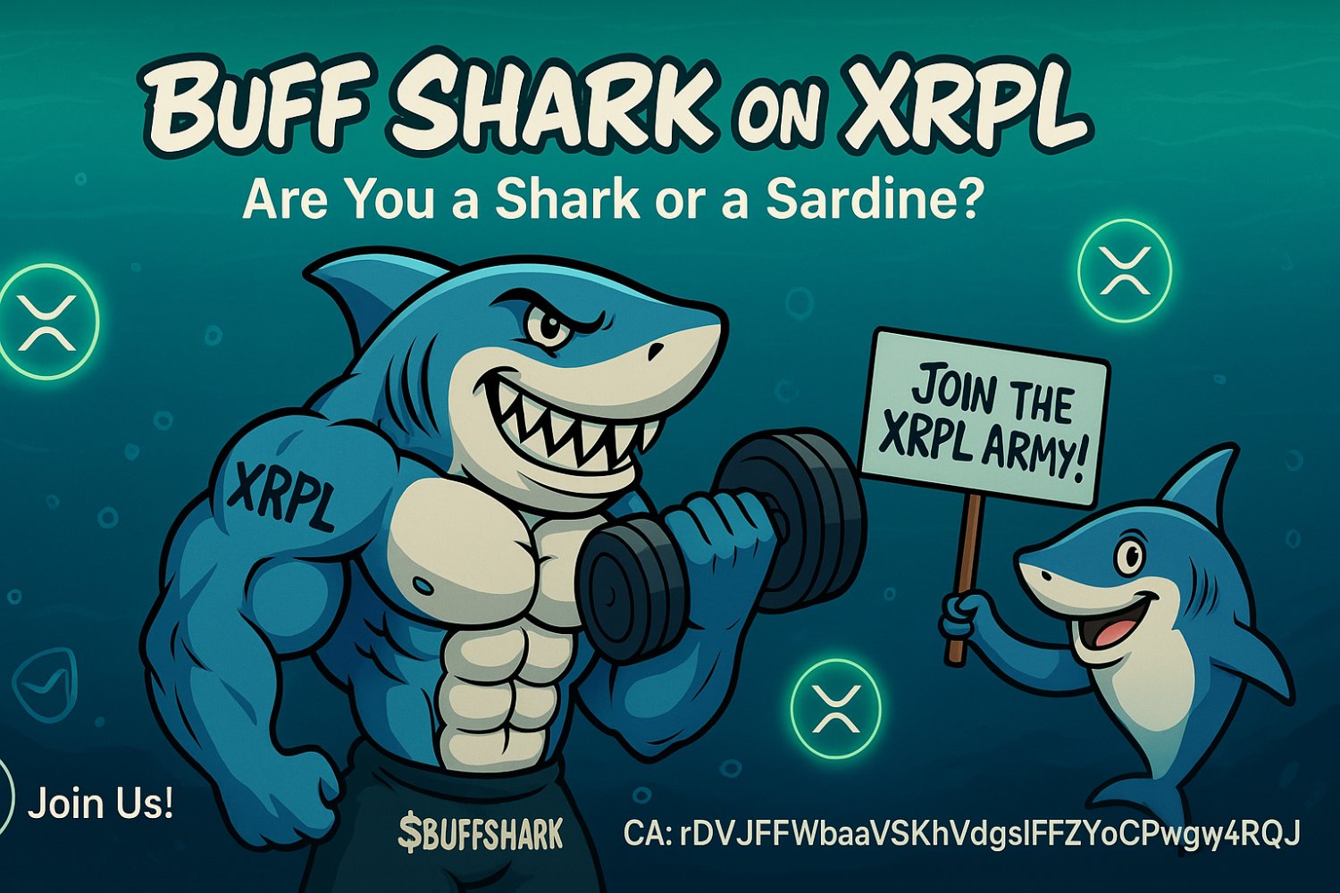 Buff_Shark_CTO's profile banner image