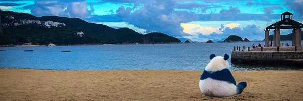 KnupsN Profile Banner