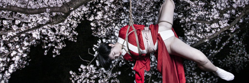 cozynuss's profile banner image