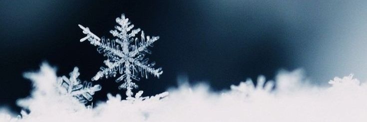 𝘈𝘤𝘵 𝘭𝘪𝘬𝘦 𝘢𝘯 𝘈𝘯𝘨𝘦𝘭 banner