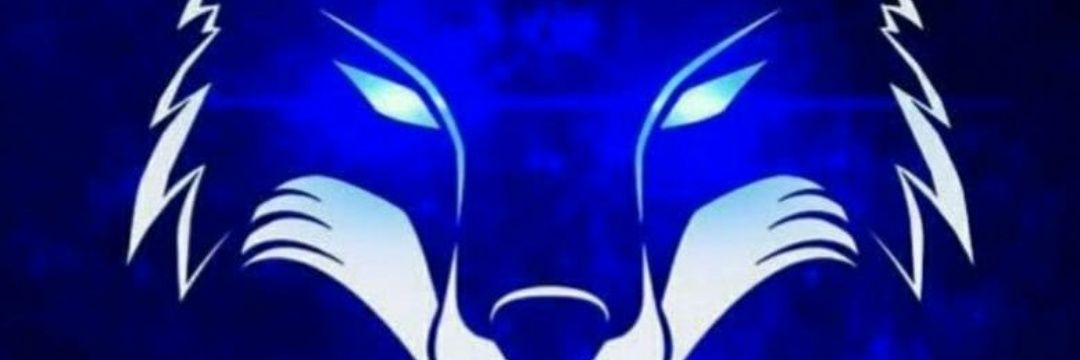 LiRa_Silv's profile banner image