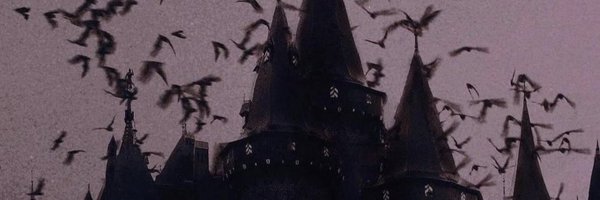 themarkfox Profile Banner