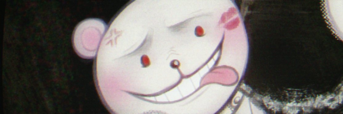 ʕ｡•ﻌ•｡ʔ banner