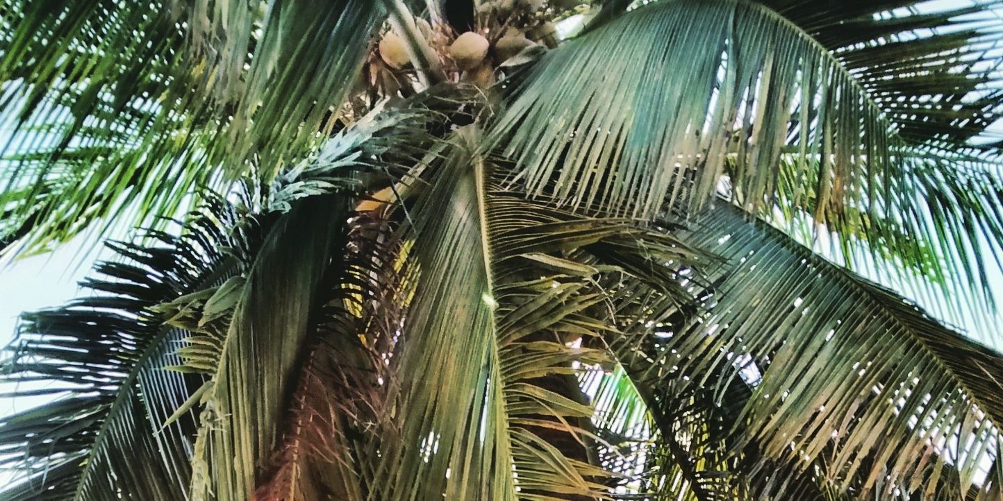 davidcito95's profile banner image