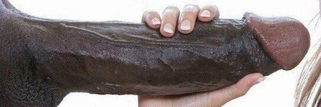 MorganFuckman banner