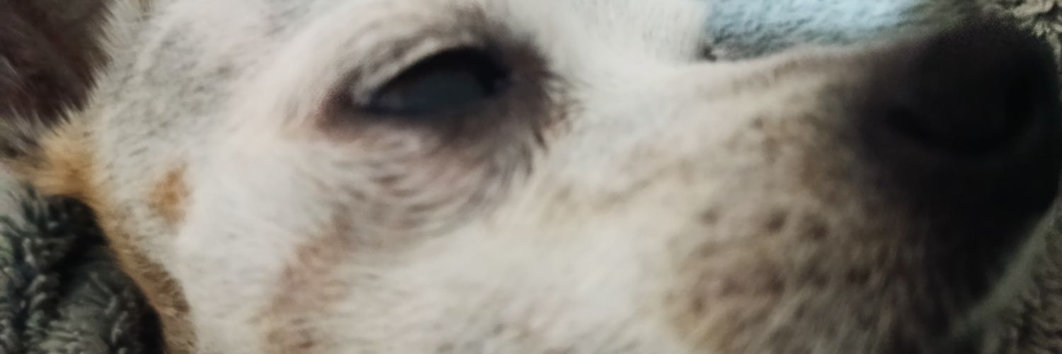 vini banner