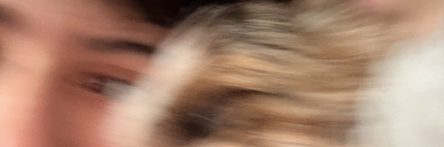 EvoftheFallen's profile banner image