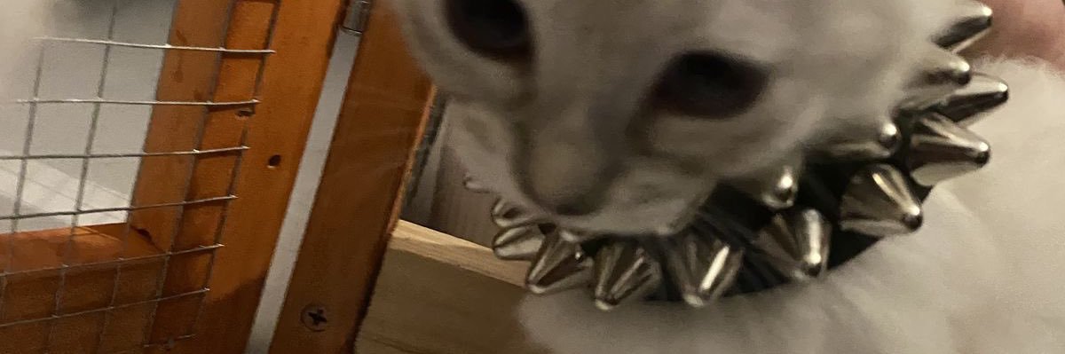 Tot_x10's profile banner image