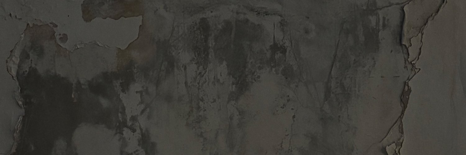 blurmako's profile banner image