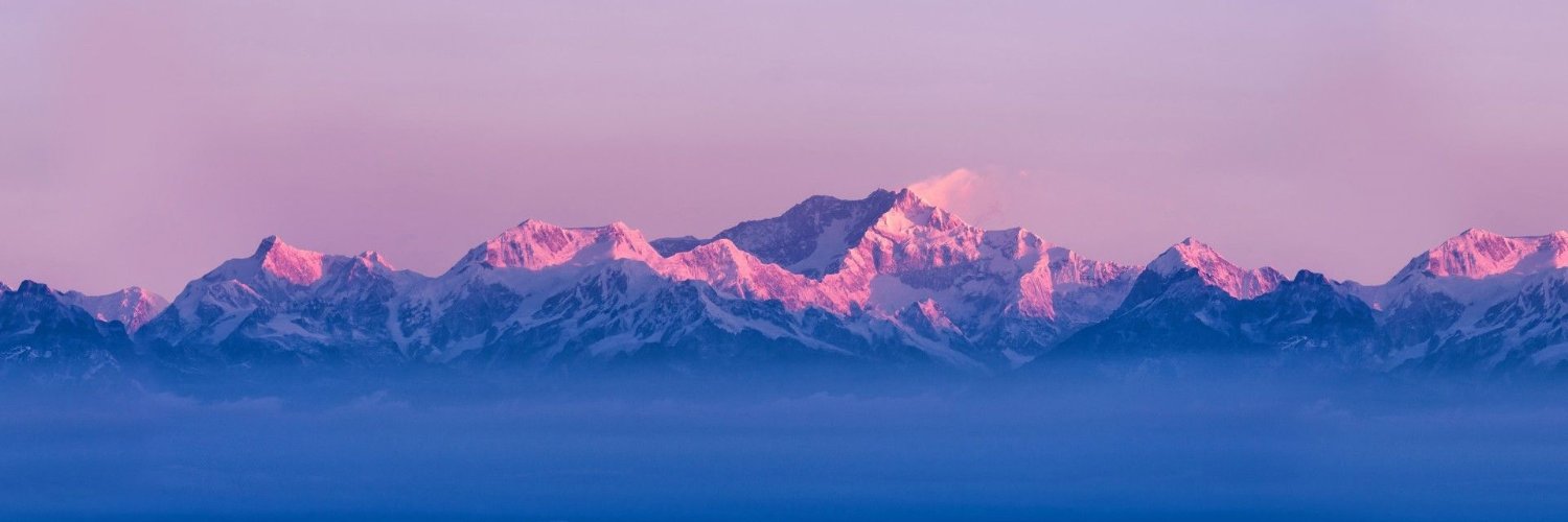 Abdelrahman Gamal banner