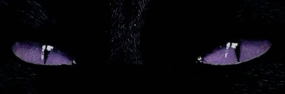 midnightsttar's profile banner image