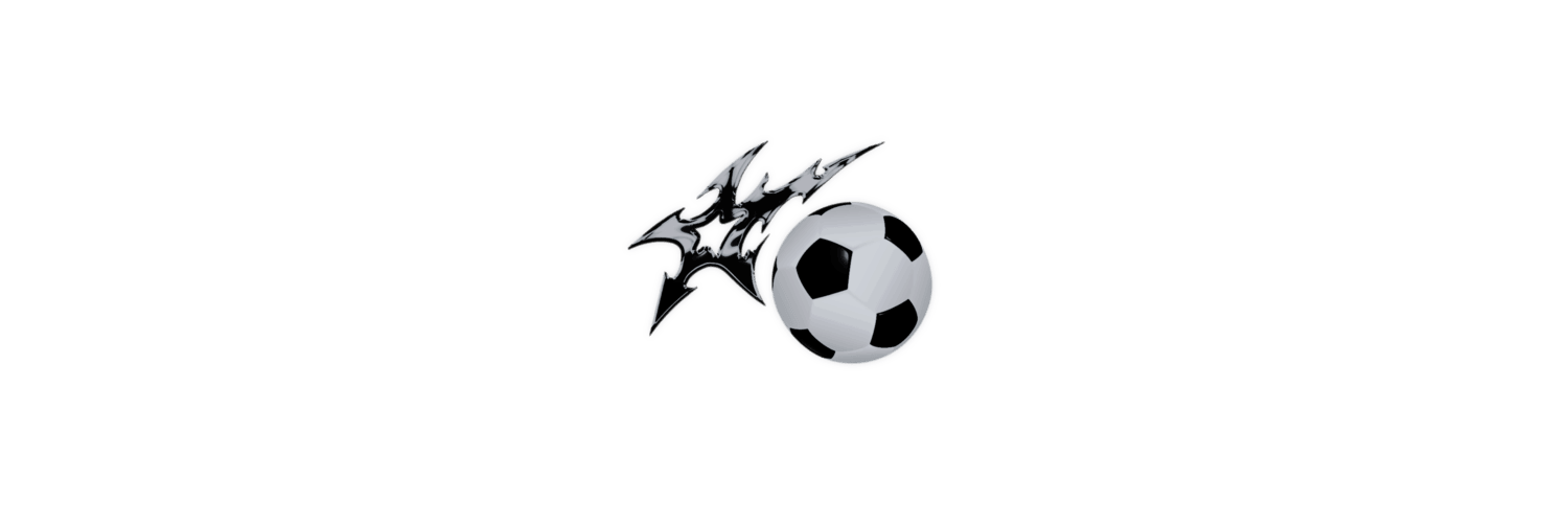 winningstriker's profile banner image