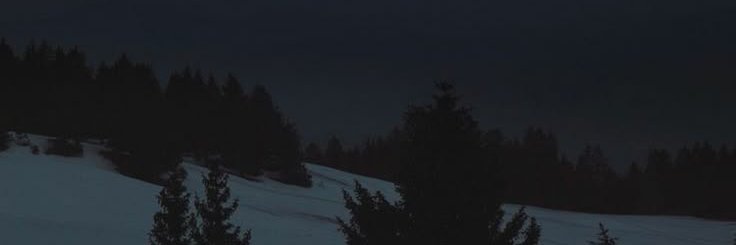 Makarov banner