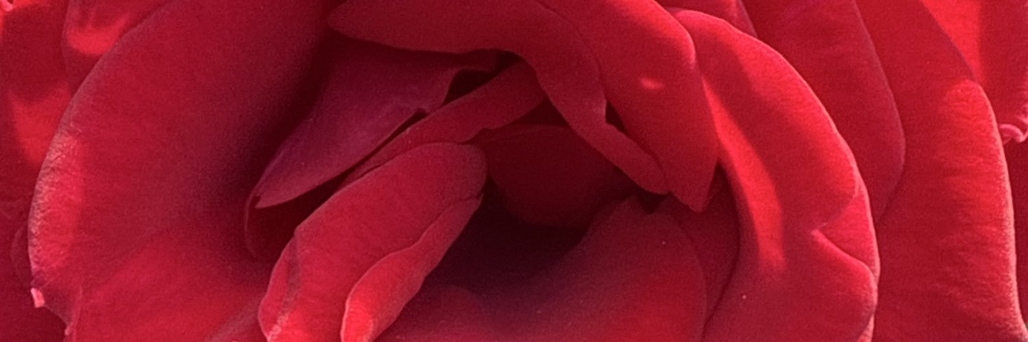 The_Highroller_'s profile banner image