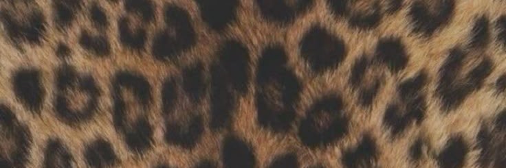 _canubis_69's profile banner image