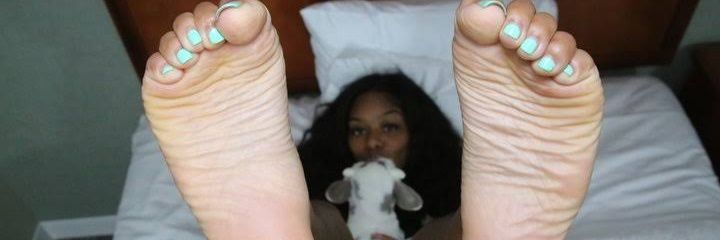 sugared_soles2 banner