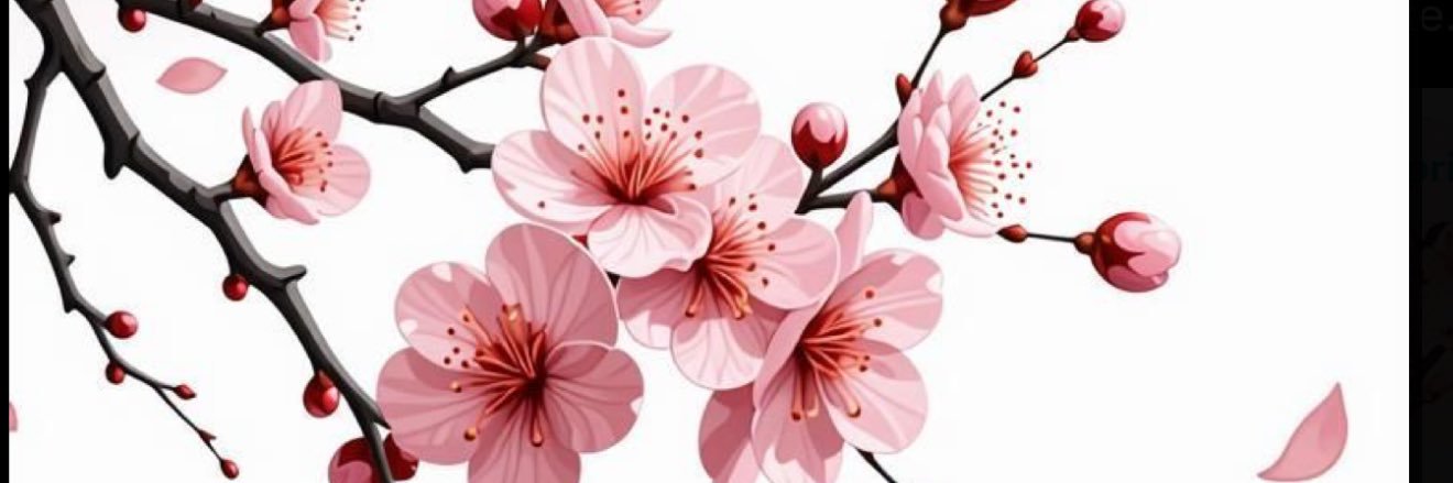 aalopzz's profile banner image