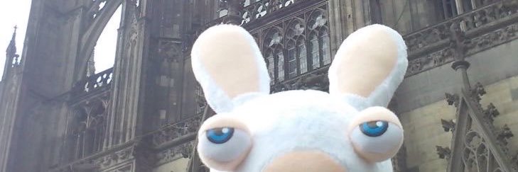 algofinx's profile banner image