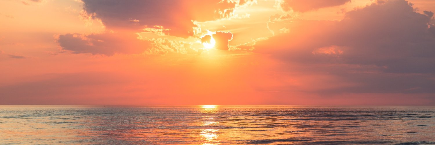 TheGardenSun's profile banner image