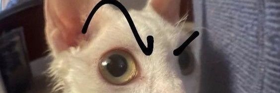 Wawavis7's profile banner image