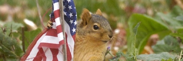 NuttSmuggler's profile banner image