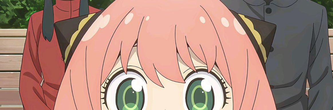 Traddie🇻🇦 banner