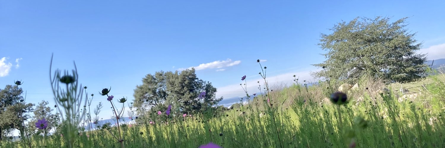 saul8000's profile banner image