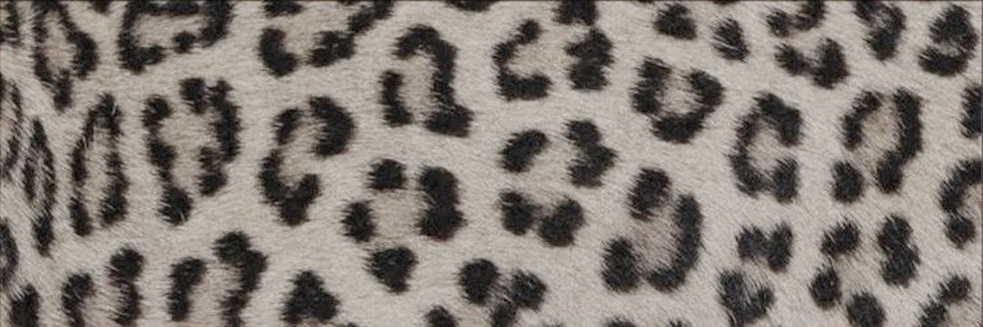 _rose_grace_'s profile banner image