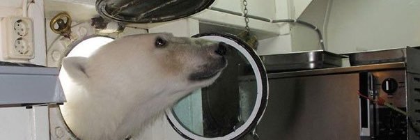 peachpitmp3's profile banner image