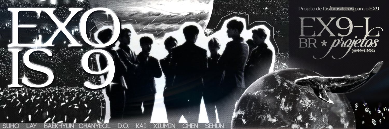 EXOL BR PROJETOS (EM RECESSO) banner