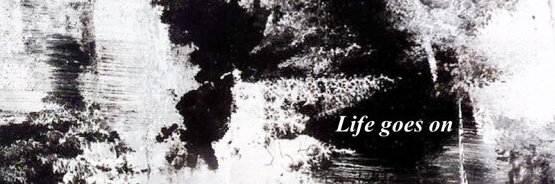 withoutcomplex's profile banner image