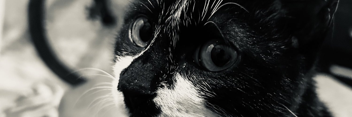 moraesznrt's profile banner image