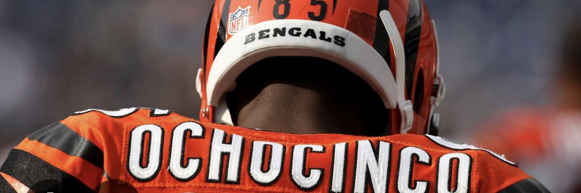 Zander “zan man” Johnson banner