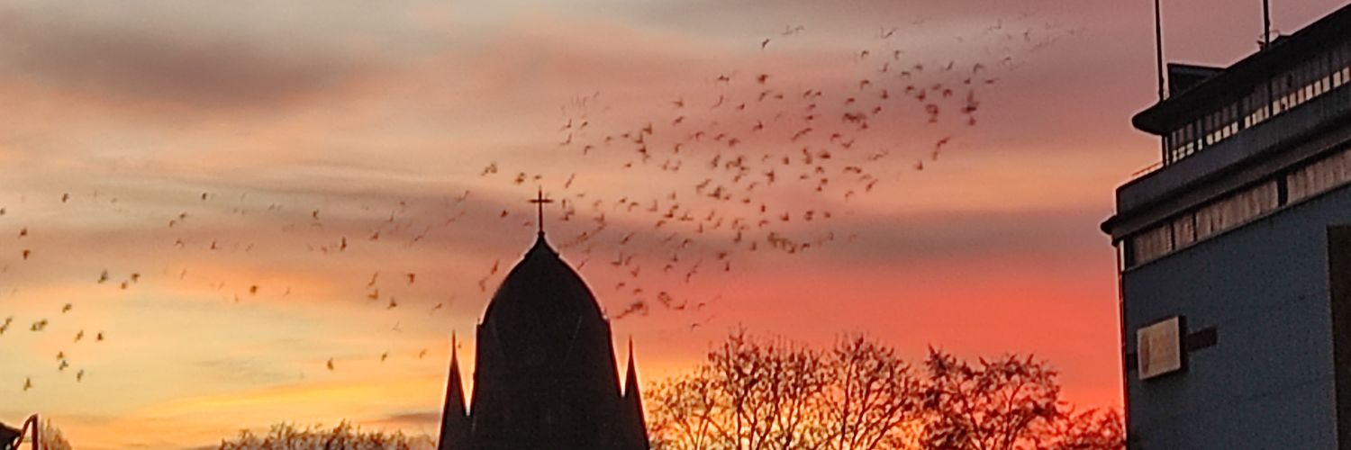 Sen_2078's profile banner image