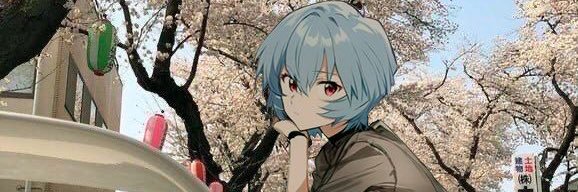 xiaohong103's profile banner image