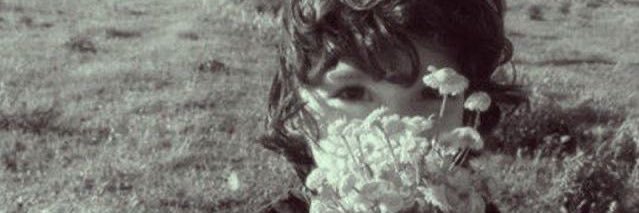 𝒵 banner