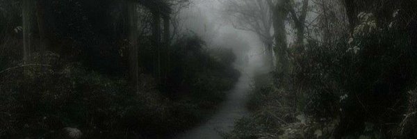 sevnglights Profile Banner