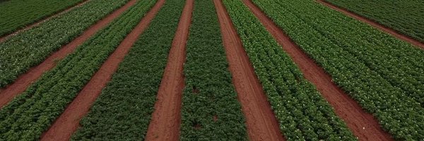 McCainProduce Profile Banner